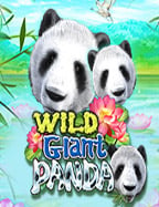 แนะนำเกม ค่า สิ โน 888 สนุกสุดเร้าใจ